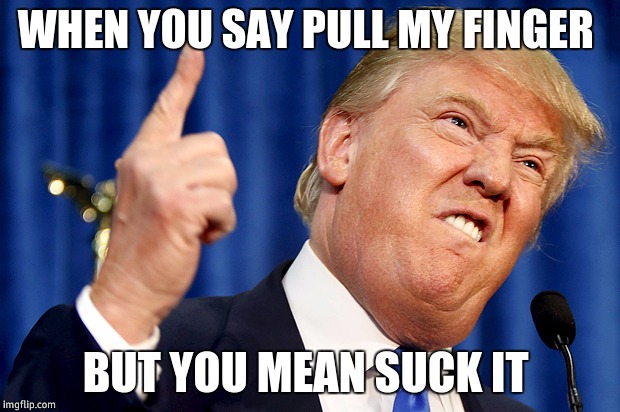 Donald Trump | WHEN YOU SAY PULL MY FINGER; BUT YOU MEAN SUCK IT | image tagged in donald trump | made w/ Imgflip meme maker