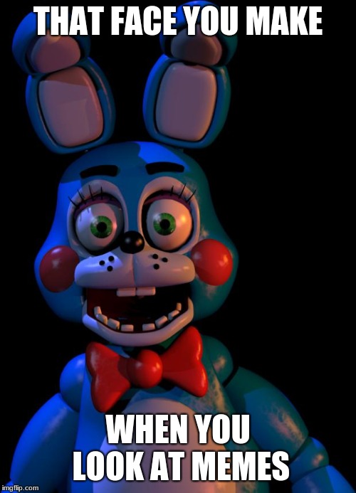 Toy Bonnie FNaF | THAT FACE YOU MAKE; WHEN YOU LOOK AT MEMES | image tagged in toy bonnie fnaf | made w/ Imgflip meme maker