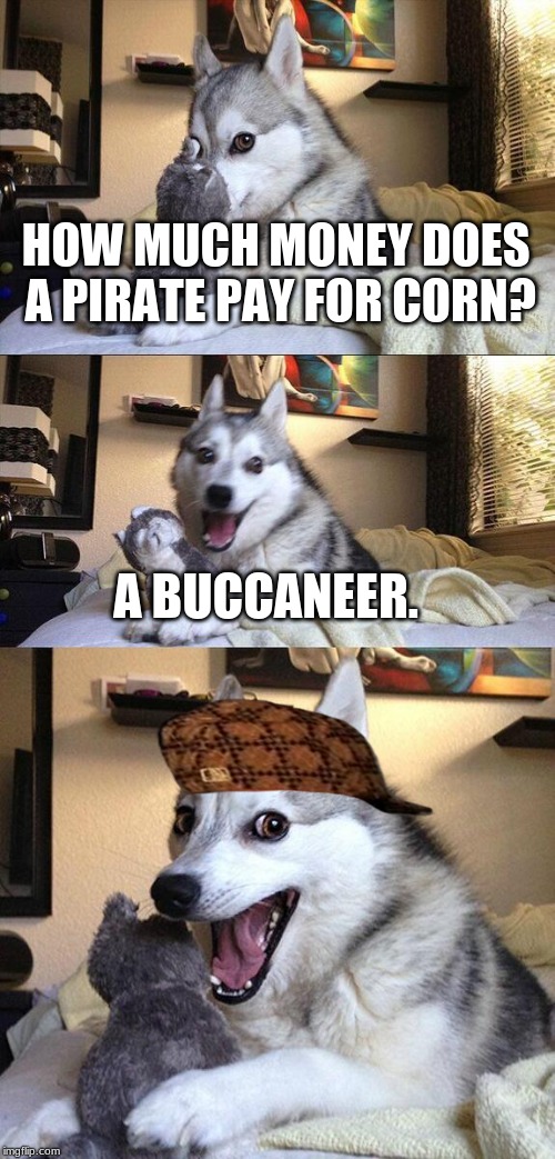 ;) | HOW MUCH MONEY DOES A PIRATE PAY FOR CORN? A BUCCANEER. | image tagged in memes,bad pun dog | made w/ Imgflip meme maker