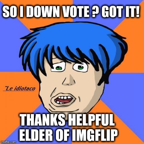 Idiotaco Meme | SO I DOWN VOTE ? GOT IT! THANKS HELPFUL ELDER OF IMGFLIP | image tagged in memes,idiotaco | made w/ Imgflip meme maker