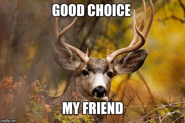 deer meme | GOOD CHOICE MY FRIEND | image tagged in deer meme | made w/ Imgflip meme maker