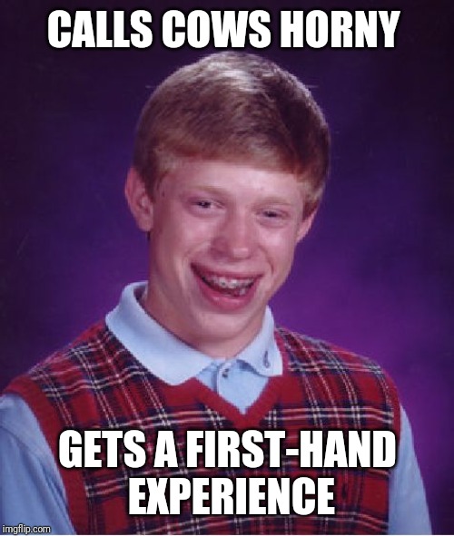 Bad Luck Brian Meme | CALLS COWS HORNY GETS A FIRST-HAND EXPERIENCE | image tagged in memes,bad luck brian | made w/ Imgflip meme maker