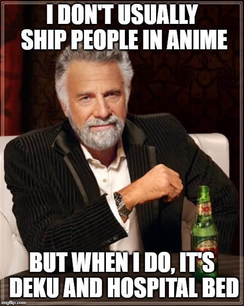 The Most Interesting Man In The World | I DON'T USUALLY SHIP PEOPLE IN ANIME; BUT WHEN I DO, IT'S DEKU AND HOSPITAL BED | image tagged in memes,the most interesting man in the world | made w/ Imgflip meme maker