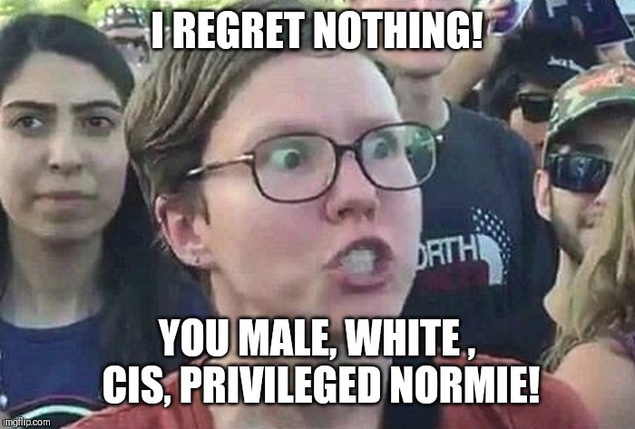 Triggered Liberal | I REGRET NOTHING! YOU MALE, WHITE , CIS, PRIVILEGED NORMIE! | image tagged in triggered liberal | made w/ Imgflip meme maker