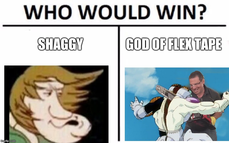 Who Would Win? | SHAGGY; GOD OF FLEX TAPE | image tagged in memes,who would win | made w/ Imgflip meme maker