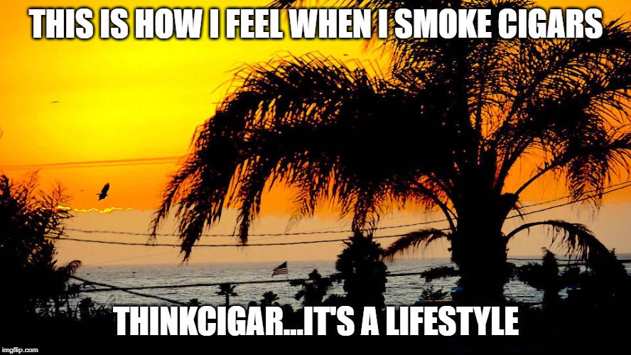THIS IS HOW I FEEL WHEN I SMOKE CIGARS; THINKCIGAR...IT'S A LIFESTYLE | image tagged in thinkcigar tropics | made w/ Imgflip meme maker