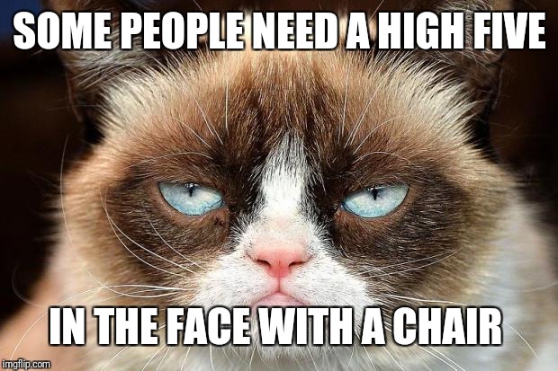 Grumpy Cat Not Amused Meme | SOME PEOPLE NEED A HIGH FIVE IN THE FACE WITH A CHAIR | image tagged in memes,grumpy cat not amused,grumpy cat | made w/ Imgflip meme maker