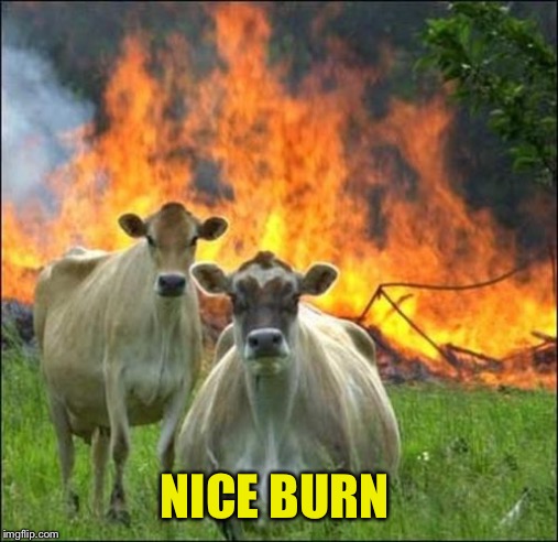 Evil Cows Meme | NICE BURN | image tagged in memes,evil cows | made w/ Imgflip meme maker