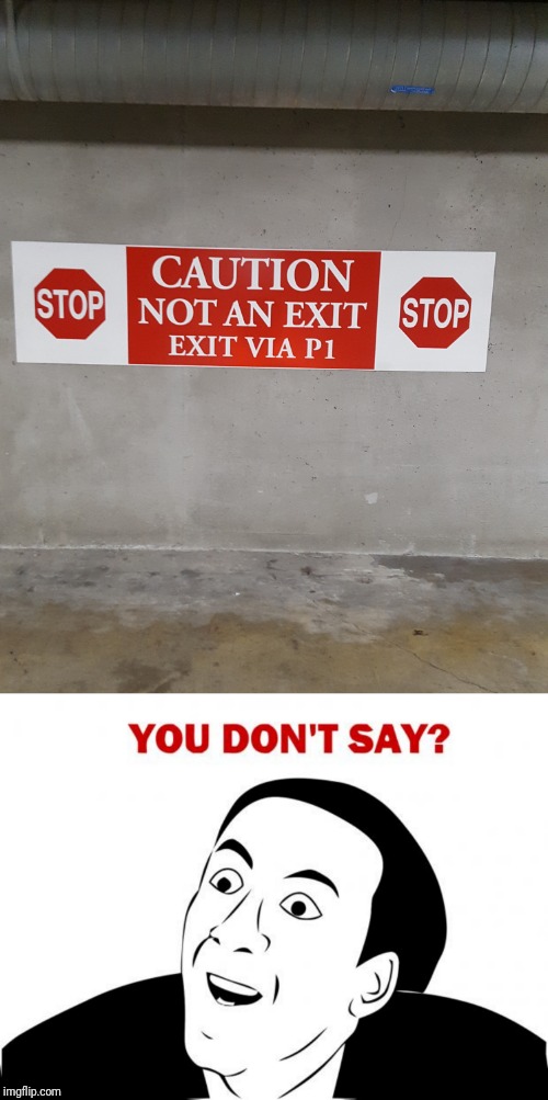I know a lot of these have been floating around lately, but I couldn't resist | image tagged in memes,you don't say,exit,wall,the most interesting man in the world,concrete | made w/ Imgflip meme maker