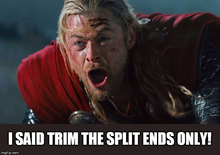 I SAID TRIM THE SPLIT ENDS ONLY! | made w/ Imgflip meme maker