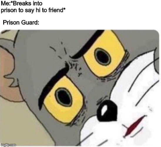 Tom and Jerry meme | Me:*Breaks into prison to say hi to friend*; Prison Guard: | image tagged in tom and jerry meme | made w/ Imgflip meme maker