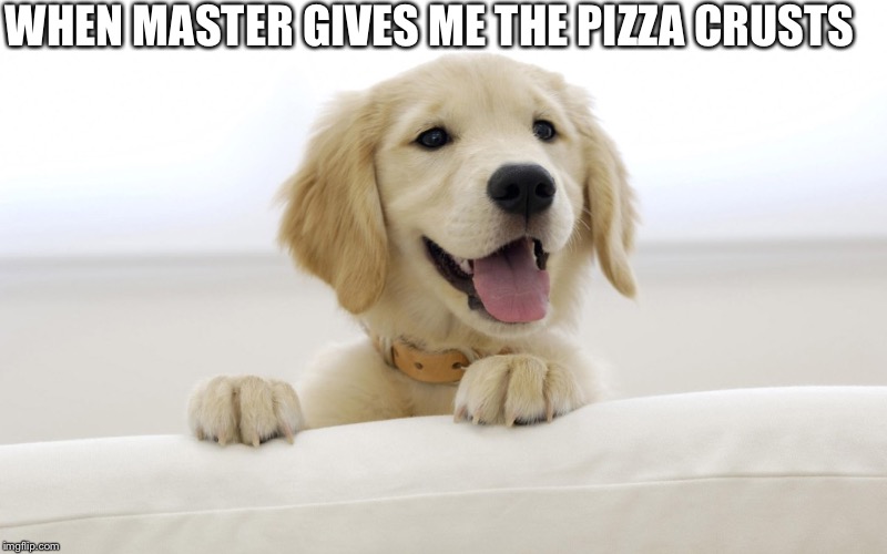 Happy-Dog-001 | WHEN MASTER GIVES ME THE PIZZA CRUSTS | image tagged in happy-dog-001 | made w/ Imgflip meme maker