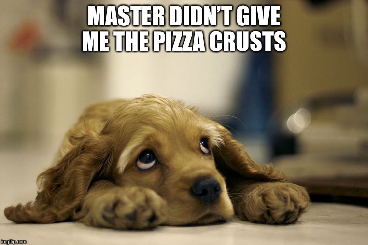 sad dog | MASTER DIDN’T GIVE ME THE PIZZA CRUSTS | image tagged in sad dog | made w/ Imgflip meme maker