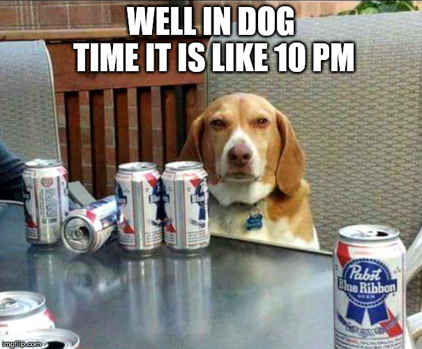 beer dog | WELL IN DOG TIME IT IS LIKE 10 PM | image tagged in beer dog | made w/ Imgflip meme maker