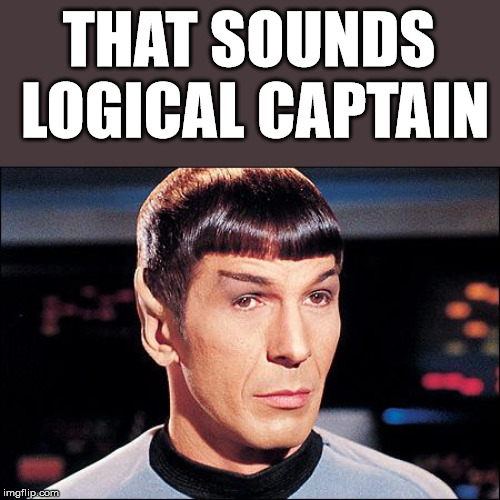 Condescending Spock | THAT SOUNDS LOGICAL CAPTAIN | image tagged in condescending spock | made w/ Imgflip meme maker