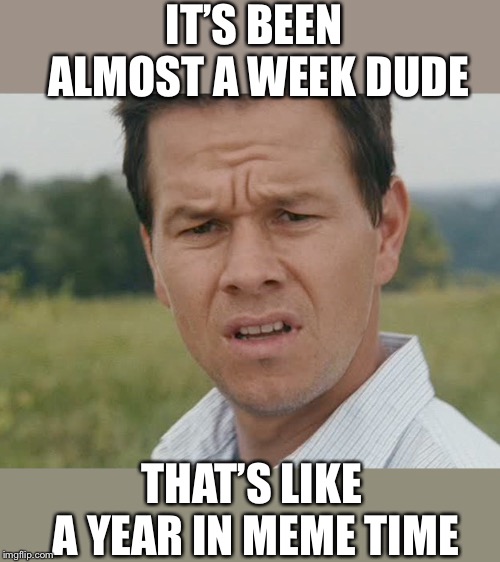 why Wahlberg | IT’S BEEN ALMOST A WEEK DUDE THAT’S LIKE A YEAR IN MEME TIME | image tagged in why wahlberg | made w/ Imgflip meme maker