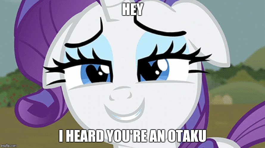 Otakus Are Cool | HEY; I HEARD YOU'RE AN OTAKU | image tagged in mlp fim,my little pony,rarity,my little pony friendship is magic | made w/ Imgflip meme maker