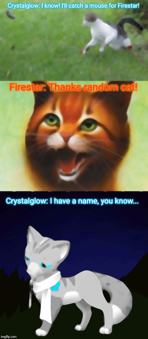 Crystalglow: I know! I'll catch a mouse for Firestar! Firestar: Thanks random cat! Crystalglow: I have a name, you know... | image tagged in warrior cats firestar,warrior cat meme | made w/ Imgflip meme maker