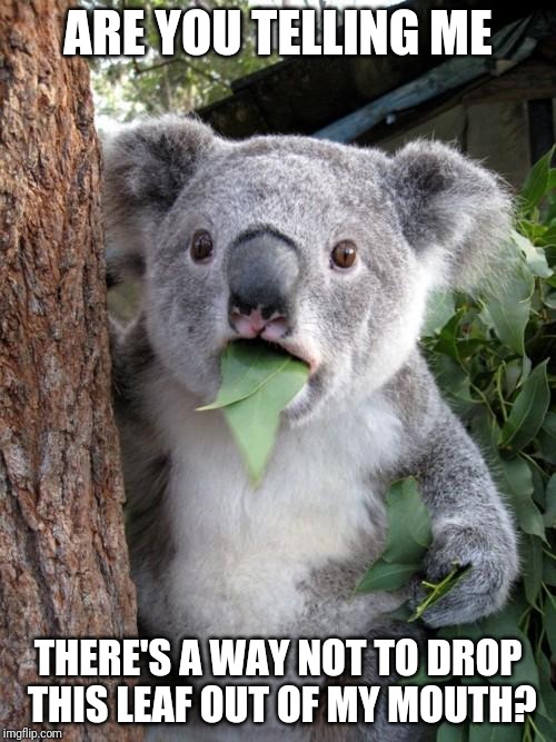 Surprised Koala | ARE YOU TELLING ME; THERE'S A WAY NOT TO DROP THIS LEAF OUT OF MY MOUTH? | image tagged in memes,surprised koala | made w/ Imgflip meme maker