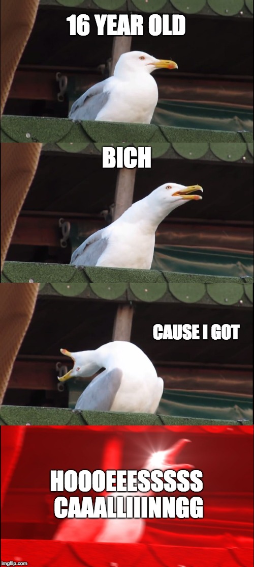 Inhaling Seagull Meme | 16 YEAR OLD; BICH; CAUSE I GOT; HOOOEEESSSSS CAAALLIIINNGG | image tagged in memes,inhaling seagull | made w/ Imgflip meme maker