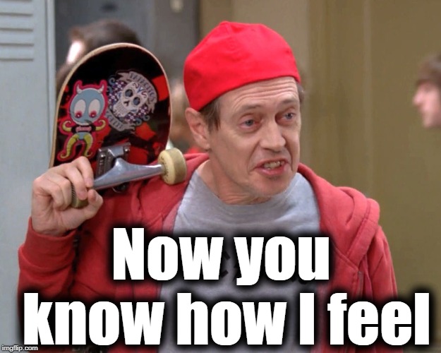Steve Buscemi Fellow Kids | Now you know how I feel | image tagged in steve buscemi fellow kids | made w/ Imgflip meme maker