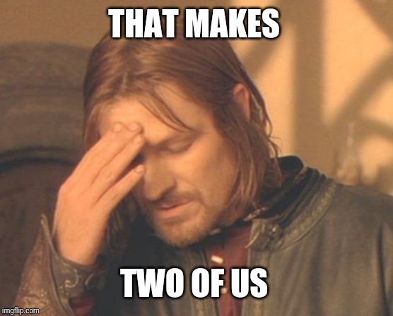 Frustrated Boromir Meme | THAT MAKES TWO OF US | image tagged in memes,frustrated boromir | made w/ Imgflip meme maker