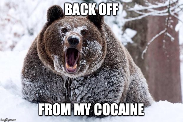 Cocaine bear | BACK OFF FROM MY COCAINE | image tagged in cocaine bear | made w/ Imgflip meme maker