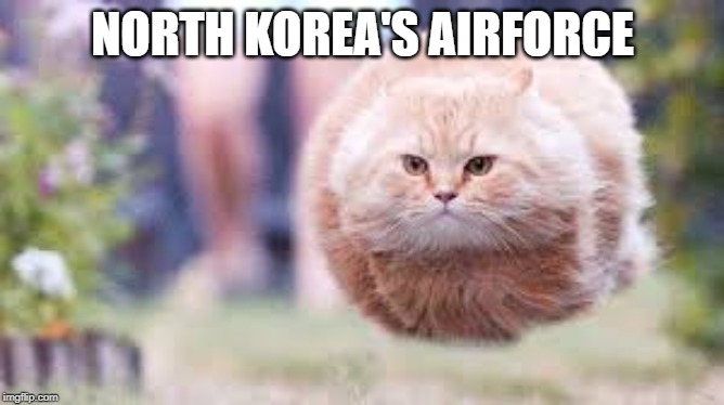 NORTH KOREA'S AIRFORCE | image tagged in hoverboard,cat | made w/ Imgflip meme maker