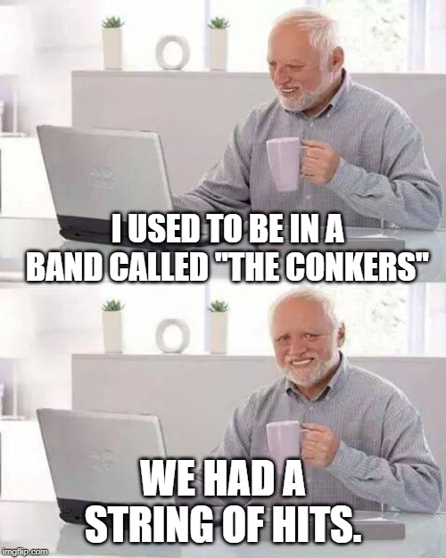 Hide the Pain Harold Meme | I USED TO BE IN A BAND CALLED "THE CONKERS"; WE HAD A STRING OF HITS. | image tagged in memes,hide the pain harold | made w/ Imgflip meme maker
