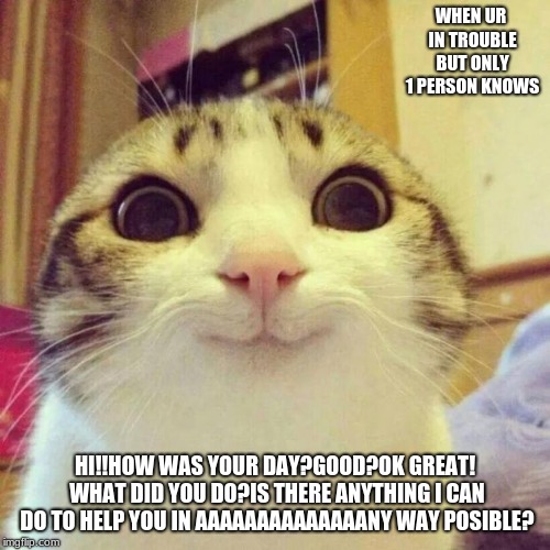 Smiling Cat | WHEN UR IN TROUBLE BUT ONLY 1 PERSON KNOWS; HI!!HOW WAS YOUR DAY?GOOD?OK GREAT! WHAT DID YOU DO?IS THERE ANYTHING I CAN DO TO HELP YOU IN AAAAAAAAAAAAAANY WAY POSIBLE? | image tagged in memes,smiling cat | made w/ Imgflip meme maker