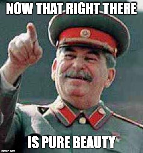 Stalin says | NOW THAT RIGHT THERE IS PURE BEAUTY | image tagged in stalin says | made w/ Imgflip meme maker