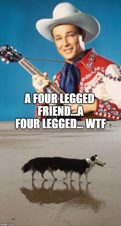 A FOUR LEGGED FRIEND...A FOUR LEGGED... WTF | image tagged in country music | made w/ Imgflip meme maker