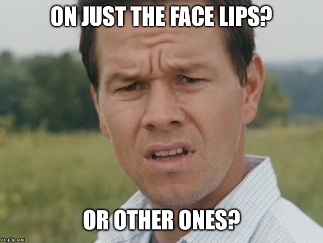 why Wahlberg | ON JUST THE FACE LIPS? OR OTHER ONES? | image tagged in why wahlberg | made w/ Imgflip meme maker
