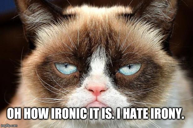 Grumpy Cat Not Amused Meme | OH HOW IRONIC IT IS. I HATE IRONY. | image tagged in memes,grumpy cat not amused,grumpy cat | made w/ Imgflip meme maker