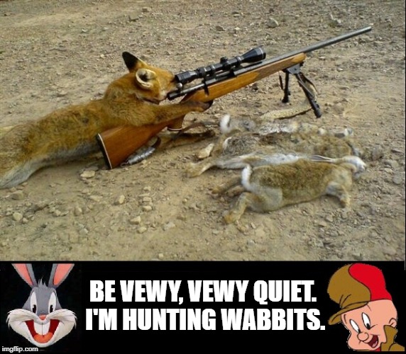 A Fox Smarter than Elmer Fudd | BE VEWY, VEWY QUIET. I'M HUNTING WABBITS. | image tagged in vince vance,elmer fudd,bugs bunny,fox shooting rifle,dead rabbits | made w/ Imgflip meme maker