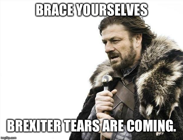 Brace Yourselves X is Coming Meme | BRACE YOURSELVES; BREXITER TEARS ARE COMING. | image tagged in memes,brace yourselves x is coming | made w/ Imgflip meme maker