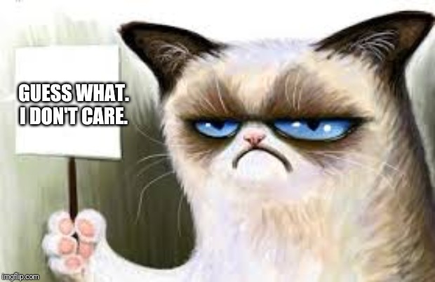 Grumpy Cat sign | GUESS WHAT. I DON'T CARE. | image tagged in grumpy cat sign | made w/ Imgflip meme maker