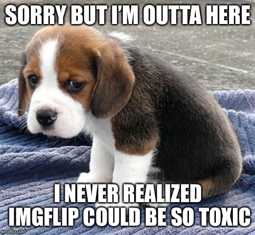 Not deleting the account, just going away. Idk where tho, maybe I’ll become a YouTuber. | SORRY BUT I’M OUTTA HERE; I NEVER REALIZED IMGFLIP COULD BE SO TOXIC | image tagged in sad dog | made w/ Imgflip meme maker