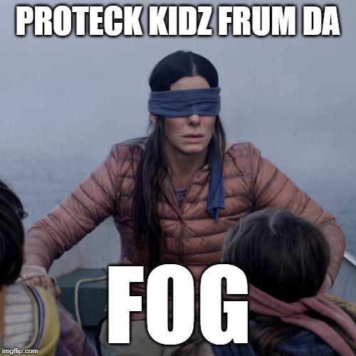 Bird Box | PROTECK KIDZ FRUM DA; FOG | image tagged in memes,bird box | made w/ Imgflip meme maker