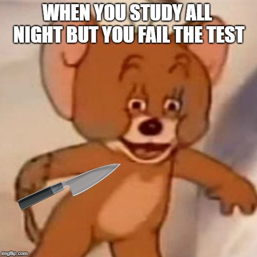 Polish Jerry | WHEN YOU STUDY ALL NIGHT BUT YOU FAIL THE TEST | image tagged in polish jerry | made w/ Imgflip meme maker