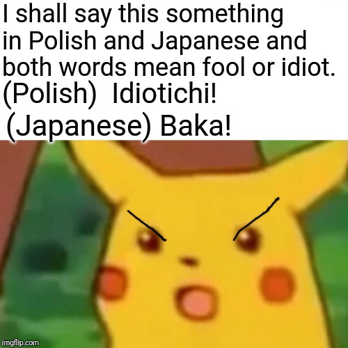 Surprised Pikachu Meme | I shall say this something in Polish and Japanese and both words mean fool or idiot. (Polish)  Idiotichi! (Japanese) Baka! | image tagged in memes,surprised pikachu | made w/ Imgflip meme maker