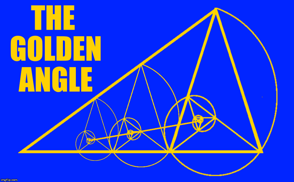 The Golden Angle | THE GOLDEN ANGLE | image tagged in the golden ratio,the golden angle,geometry,math,spiral | made w/ Imgflip meme maker