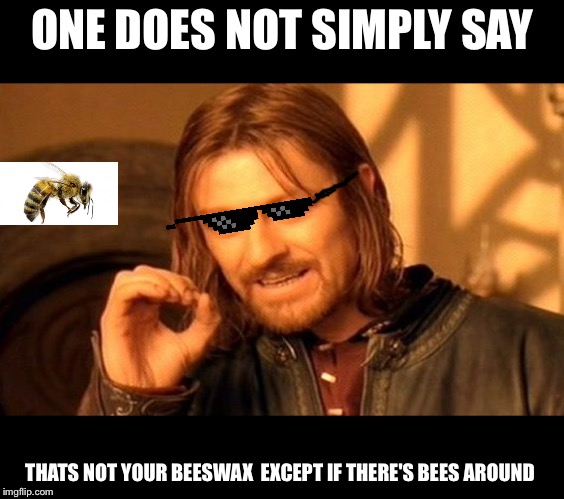 One Does Not Simply | ONE DOES NOT SIMPLY SAY; THATS NOT YOUR BEESWAX 
EXCEPT IF THERE'S BEES AROUND | image tagged in memes,one does not simply | made w/ Imgflip meme maker