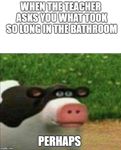 Perhaps cow | WHEN THE TEACHER ASKS YOU WHAT TOOK SO LONG IN THE BATHROOM; PERHAPS | image tagged in perhaps cow | made w/ Imgflip meme maker