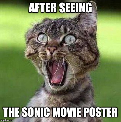 Shocked Cat | AFTER SEEING; THE SONIC MOVIE POSTER | image tagged in shocked cat | made w/ Imgflip meme maker