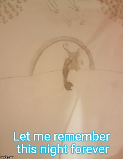 Let this night remain in my memory | Let me remember this night forever | image tagged in warriors,cats,love | made w/ Imgflip meme maker