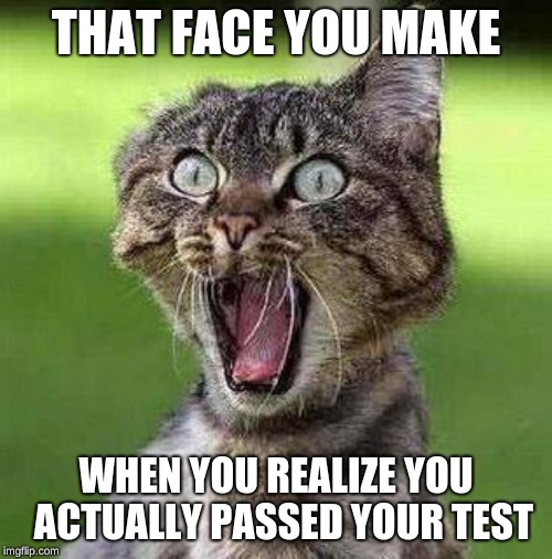 Shocked Cat | THAT FACE YOU MAKE; WHEN YOU REALIZE YOU  ACTUALLY PASSED YOUR TEST | image tagged in shocked cat | made w/ Imgflip meme maker