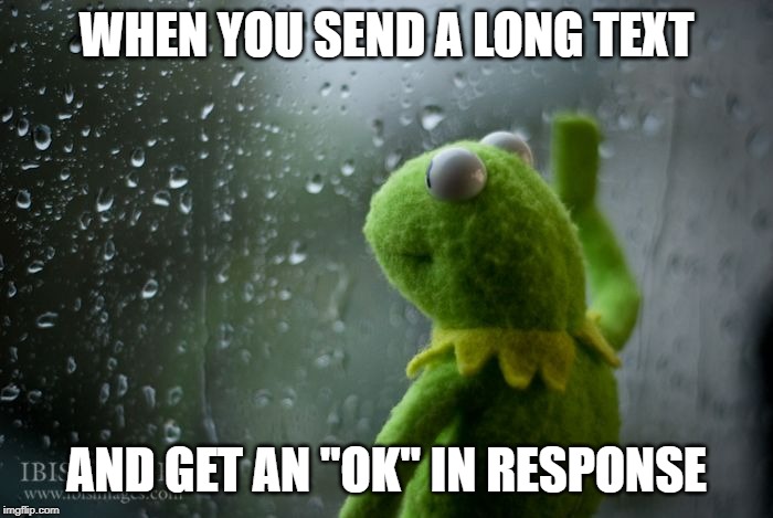 kermit window | WHEN YOU SEND A LONG TEXT; AND GET AN "OK" IN RESPONSE | image tagged in kermit window | made w/ Imgflip meme maker