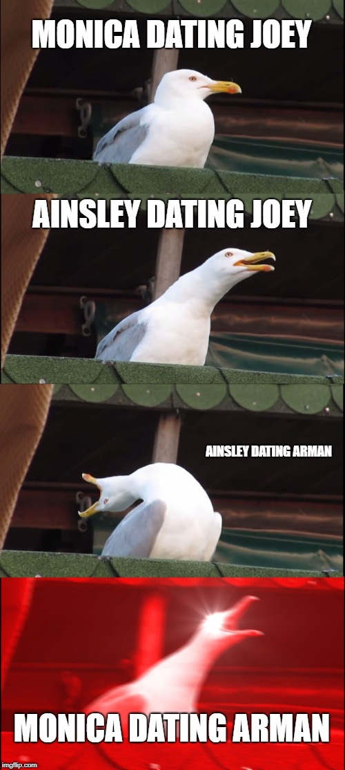 Inhaling Seagull | MONICA DATING JOEY; AINSLEY DATING JOEY; AINSLEY DATING ARMAN; MONICA DATING ARMAN | image tagged in memes,inhaling seagull | made w/ Imgflip meme maker