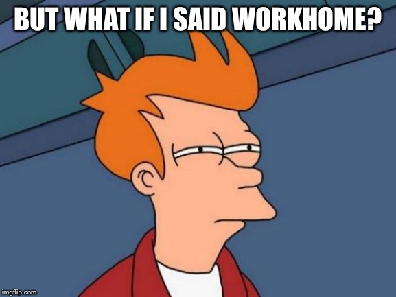 Futurama Fry Meme | BUT WHAT IF I SAID WORKHOME? | image tagged in memes,futurama fry | made w/ Imgflip meme maker